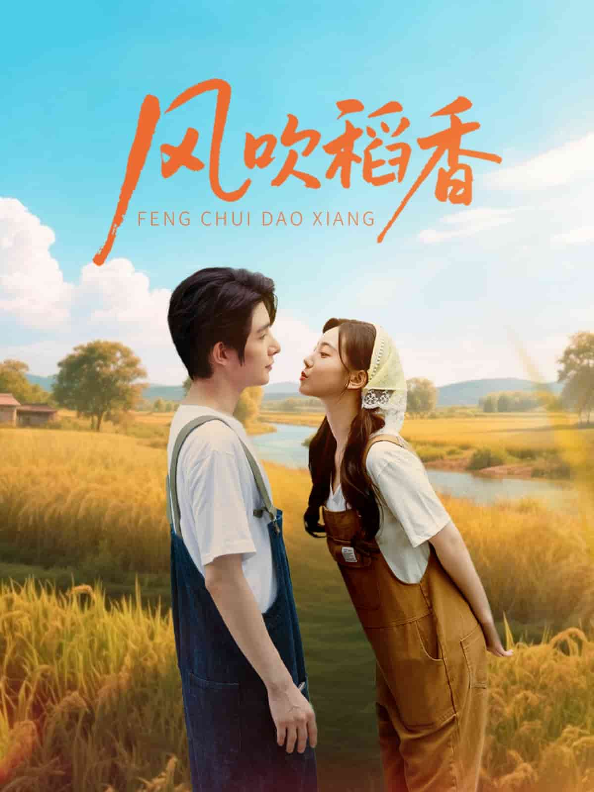 风吹稻香