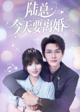 陆总今天要离婚